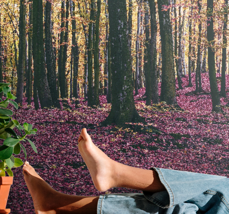 Mural de parede natureza cena de floresta serena - TenStickers