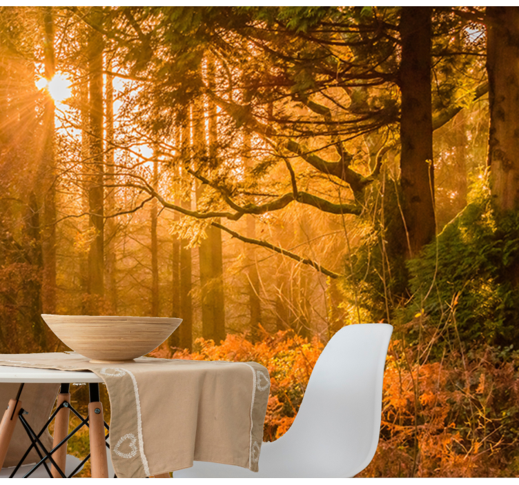Mural de parede natureza paisagem florestal iluminada - TenStickers