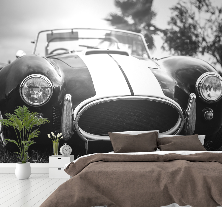 Mural de parede vintage do carro de corrida - TenStickers