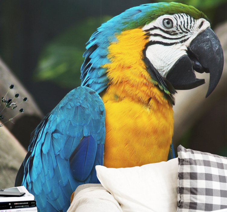 fotomural de parede de papagaio caribenho - TenStickers