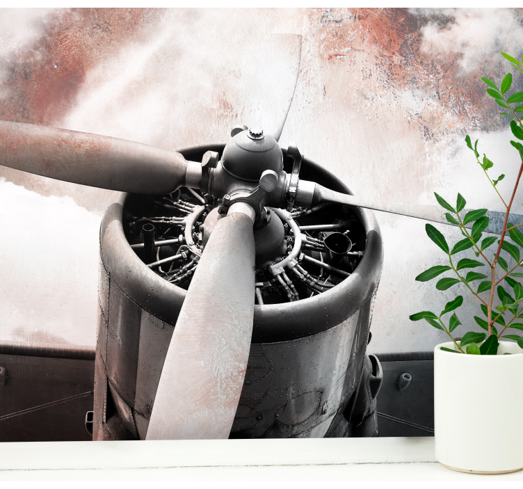 fotomural de parede vintage de avião antigo - TenStickers
