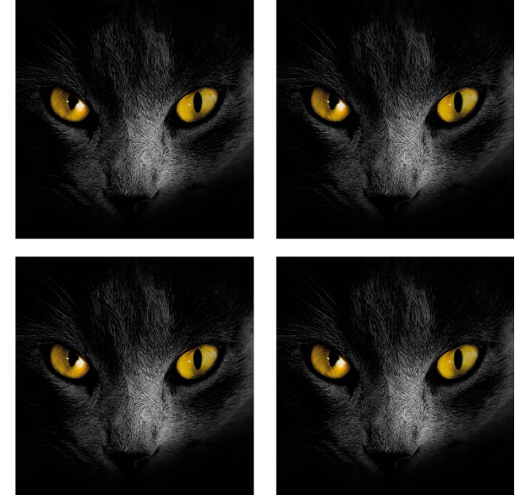 base para copos de halloween gato preto - TenStickers
