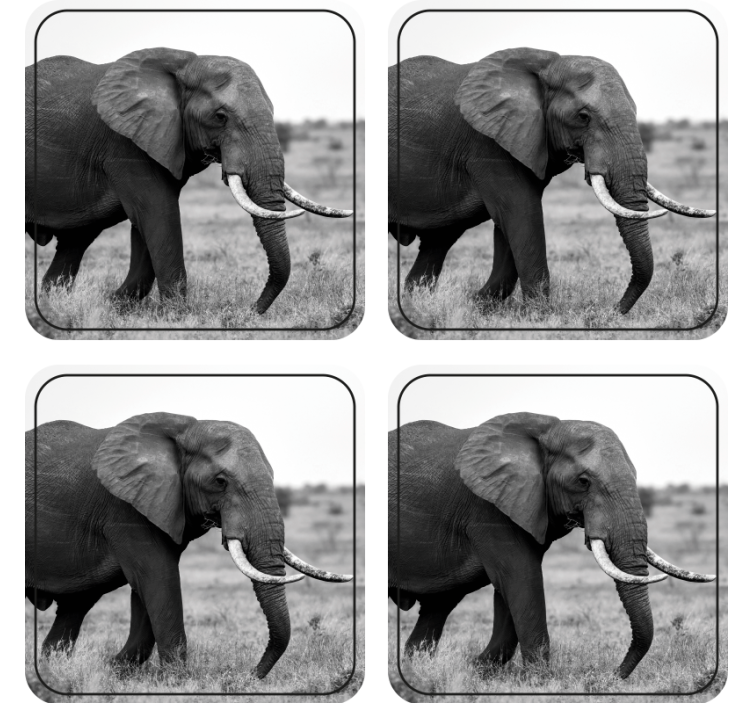 Bases para copos modernas Elefante andando em montanha russa - TenStickers