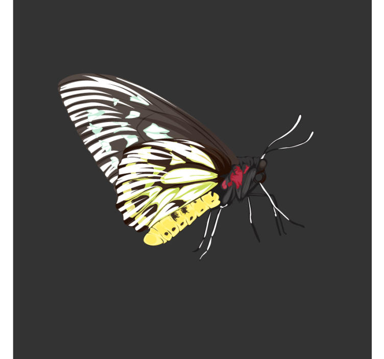 Bases para copos modernas Borboleta amarela detalhada realista - TenStickers