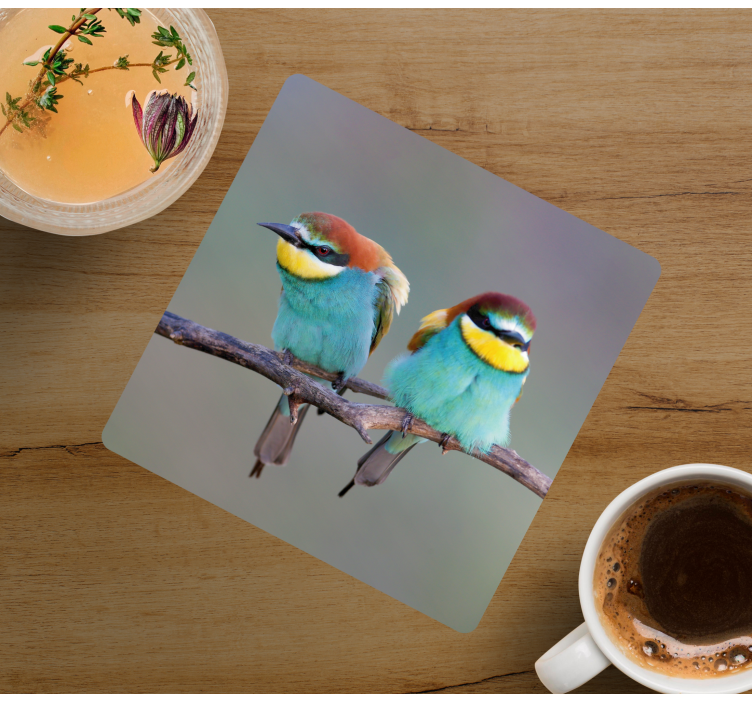 Bases para copos modernas Dois pássaros azuis - TenStickers