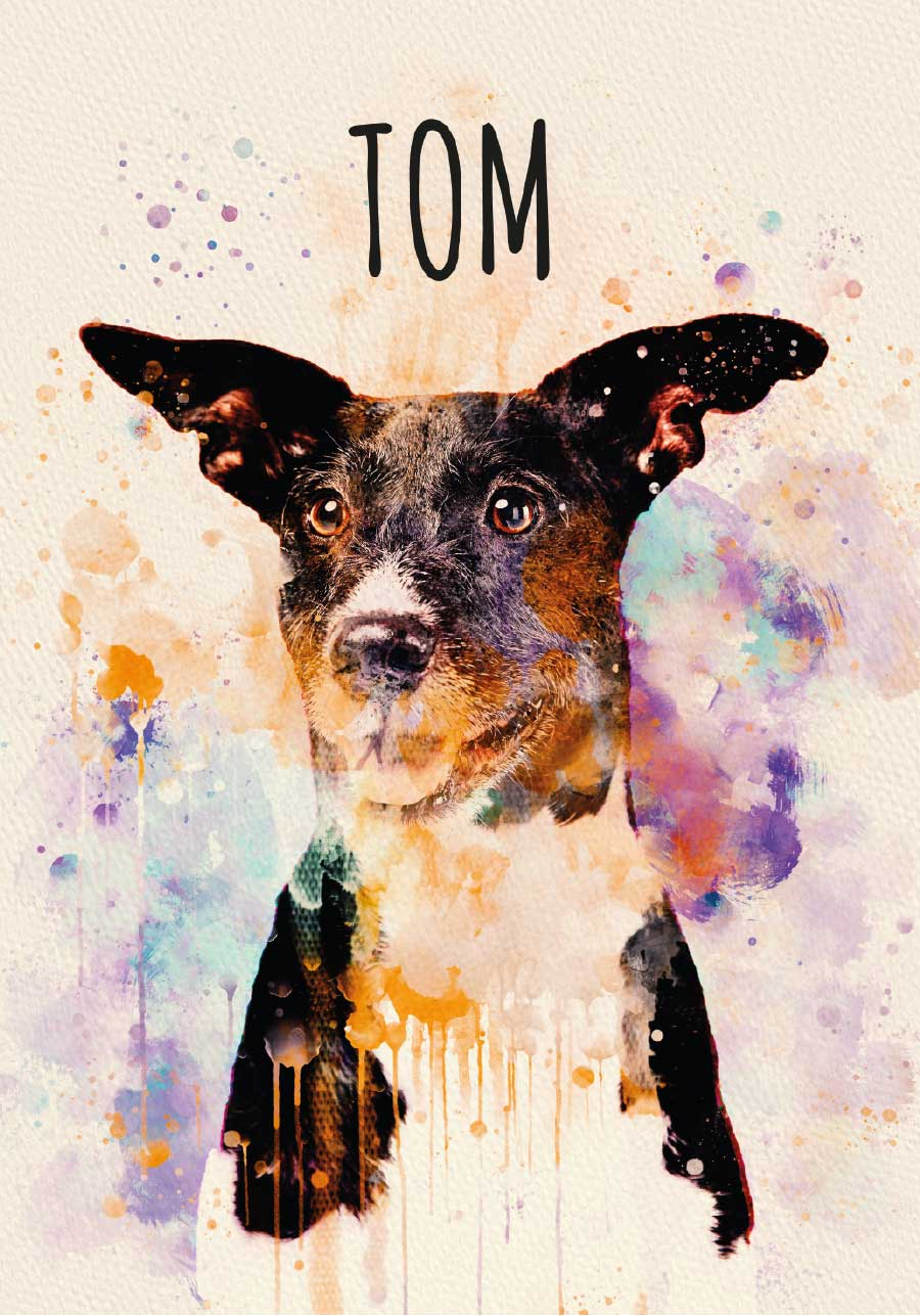 Poster animais variados arte em aquarela personalizada - TenStickers