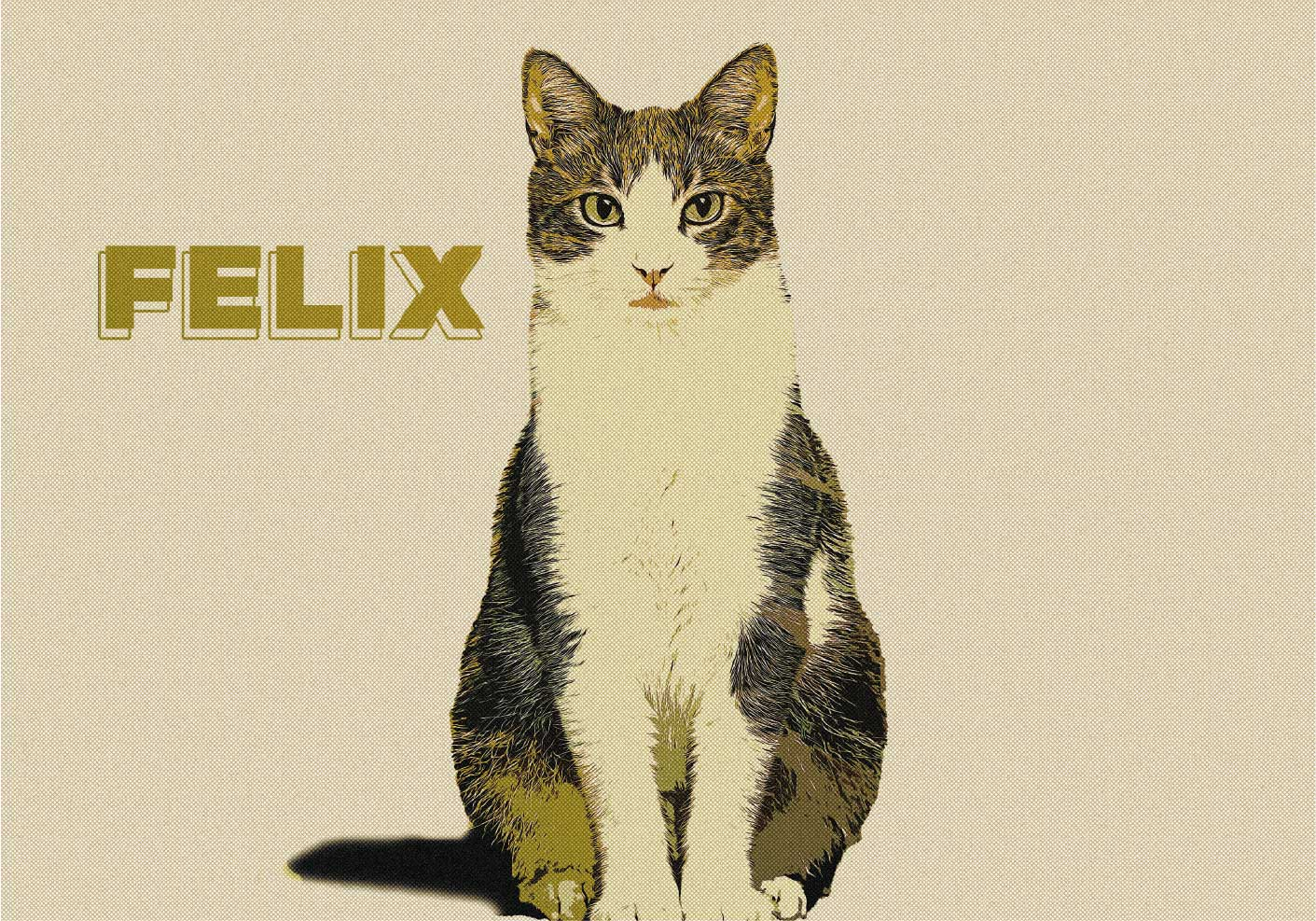 Poster animais variados ilustração personalizada meio tom - TenStickers