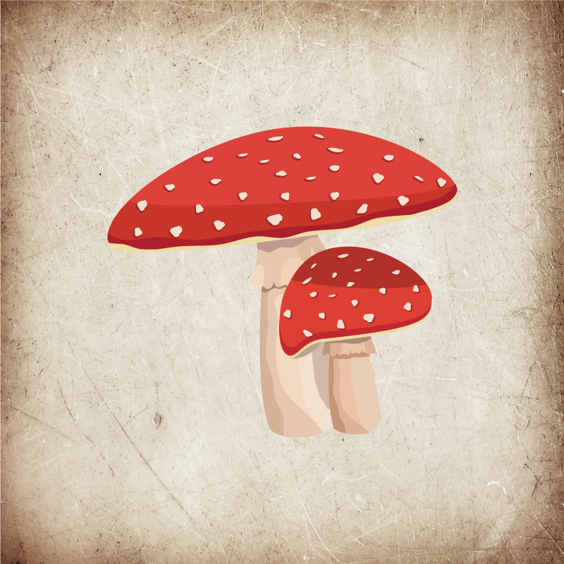 Poster cozinha ilustração do cogumelo amanita - TenStickers