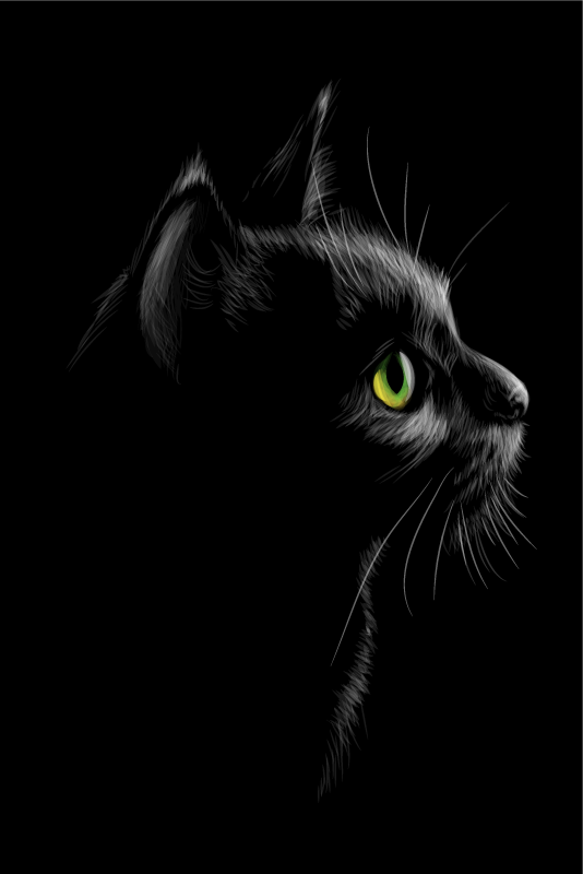 Poster para sala gatos de olhos verdes - TenStickers