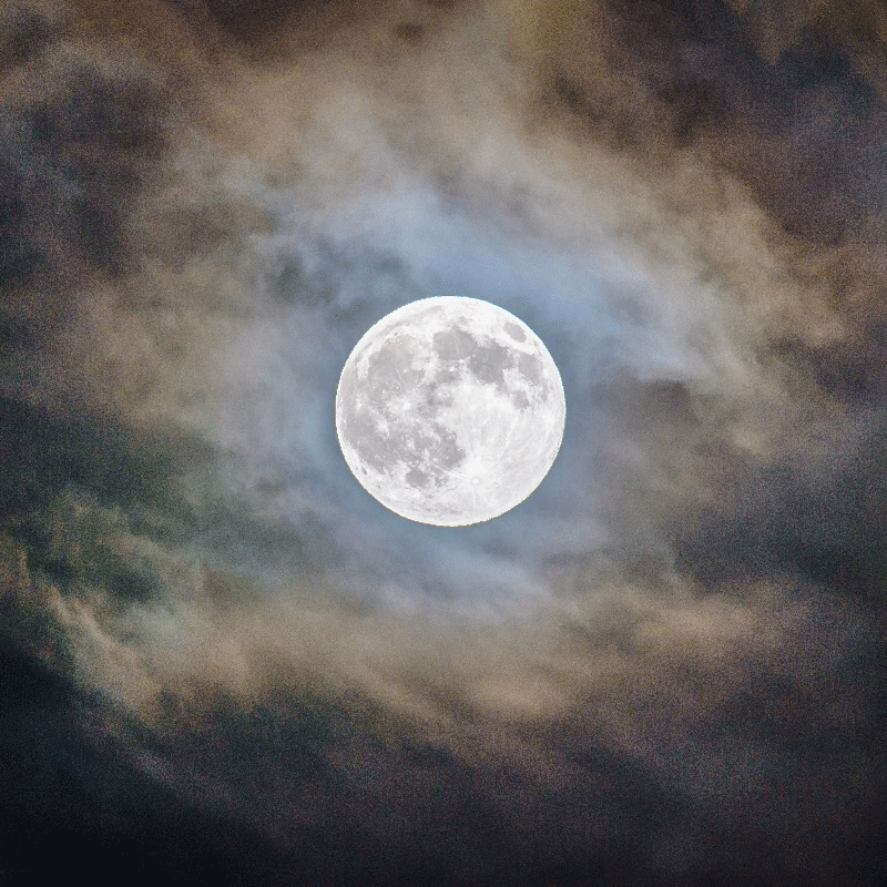 Poster para sala noite de lua cheia - TenStickers