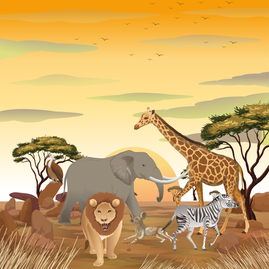 Poster infantil com animais africanos e plantas - TenStickers