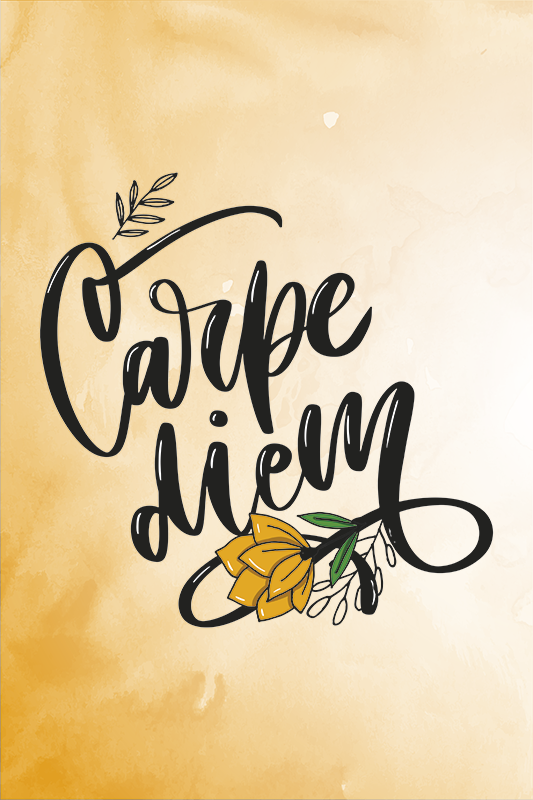 Poster de frases aproveite o dia - TenStickers