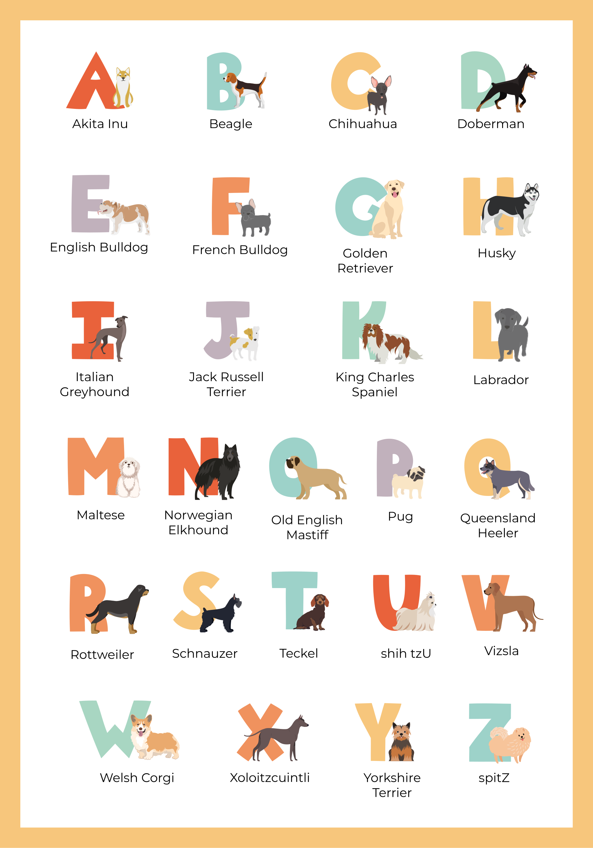 Poster cães raças de cães alfabeticamente - TenStickers