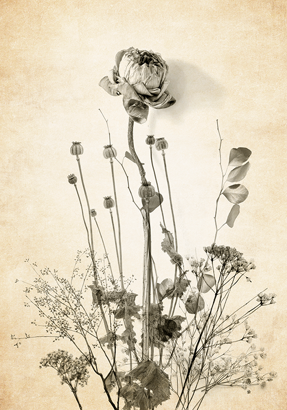 Poster de flores buquê de flores em fundo bege - TenStickers