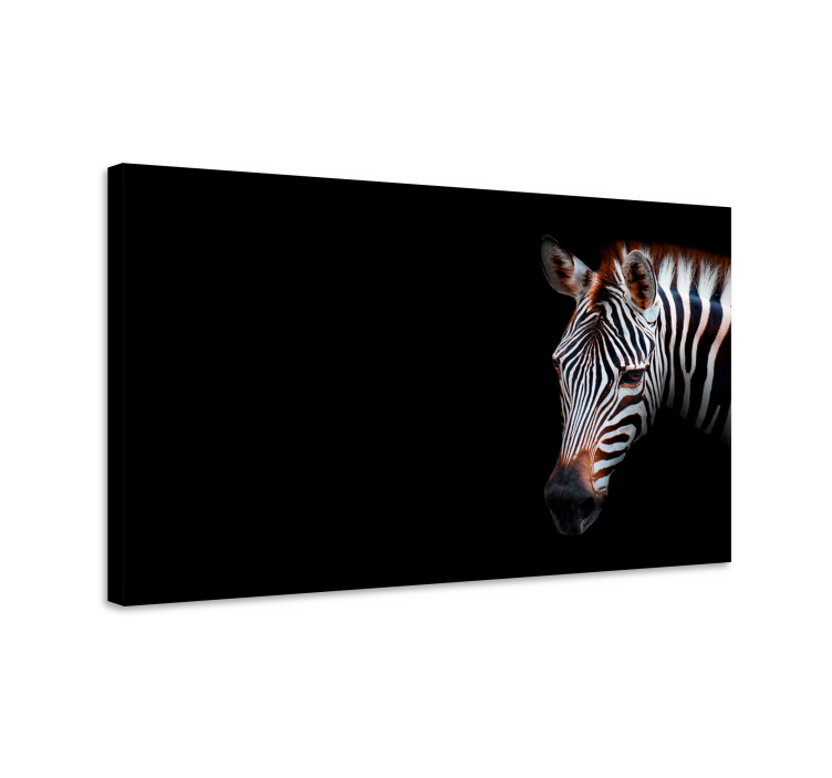 Quadro animais zebra em close-up - TenStickers