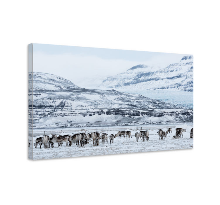 Quadro de veados Paisagem de cervos nevados - TenStickers