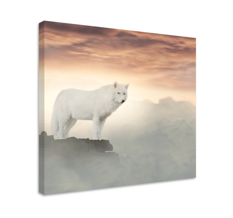 Quadro animais Lobo branco na montanha - TenStickers
