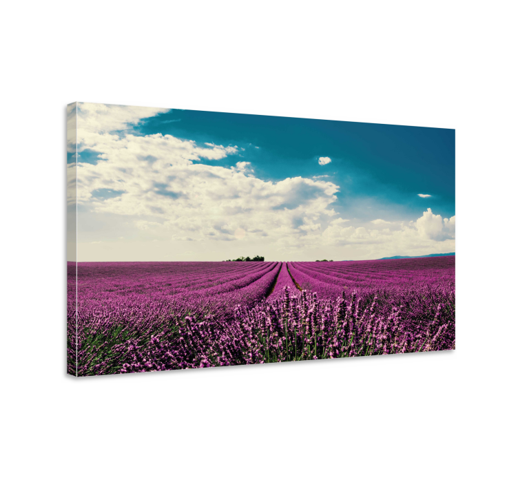 Quadro de flores campo de lavanda - TenStickers