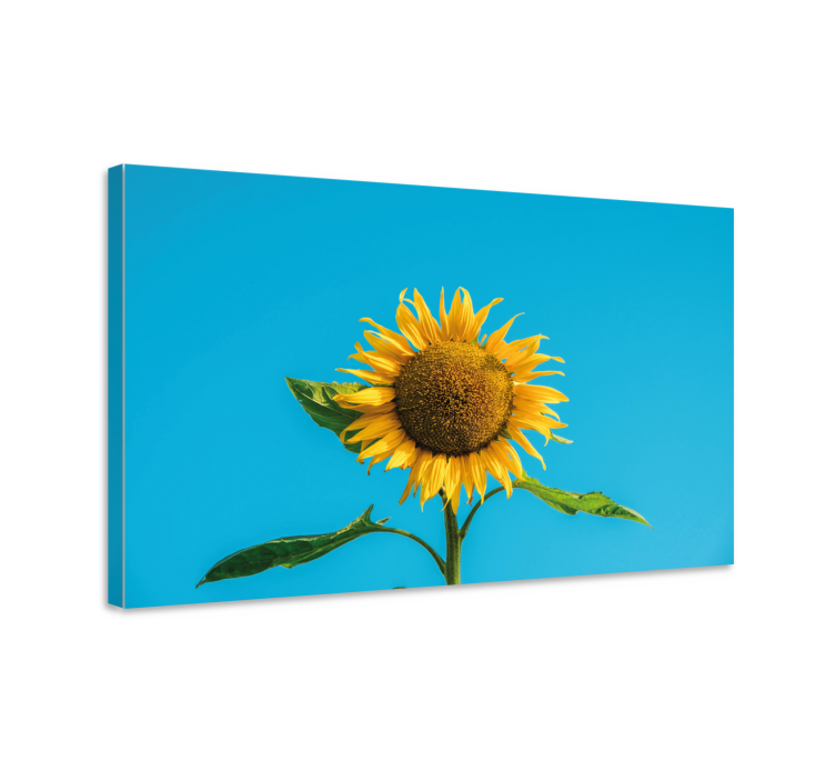 Quadro de flores flor radiante de girassol - TenStickers