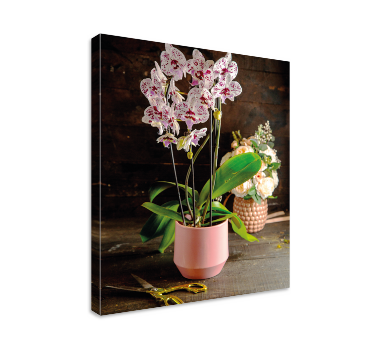 Quadro de flores Flor de orquídea em vaso - TenStickers