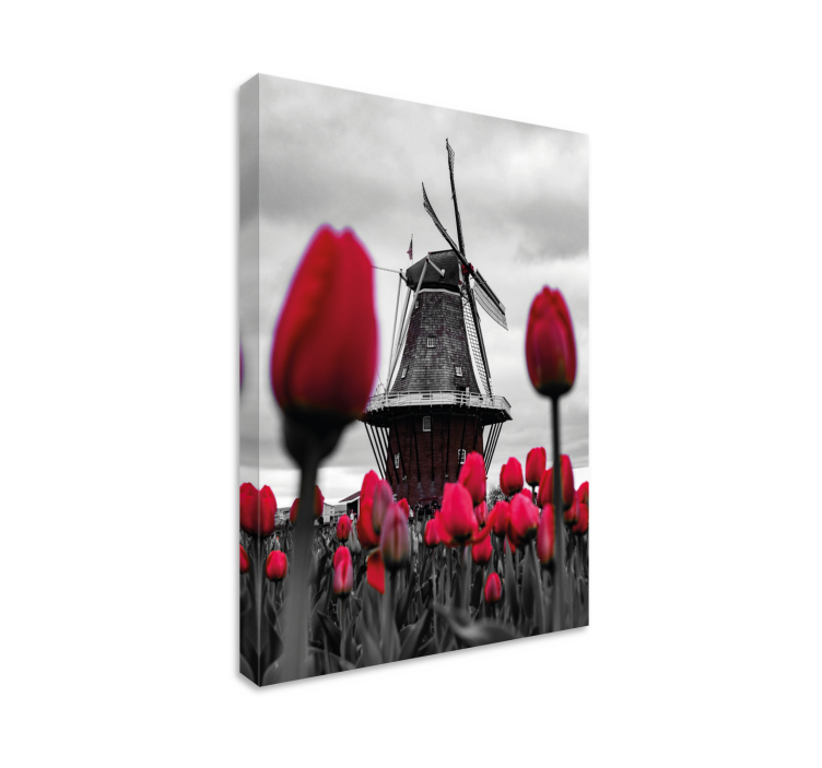 Quadro de paisagem de moinho e tulipas - TenStickers