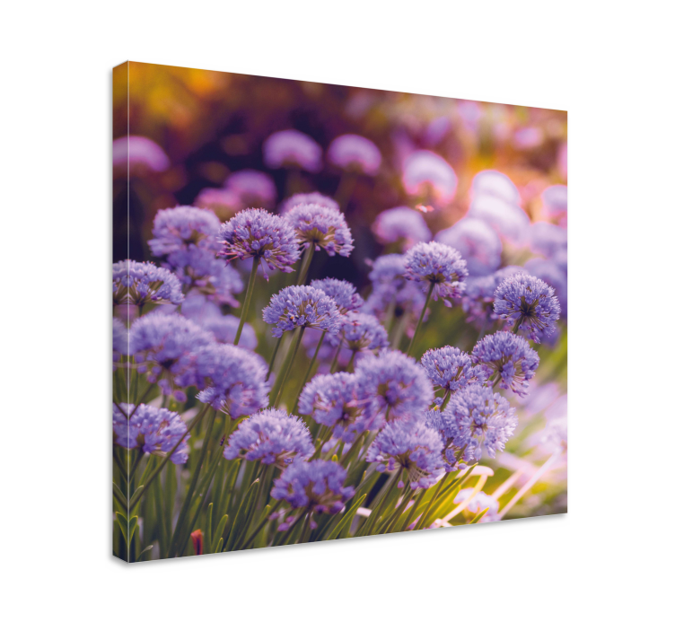 Quadro de flores Campo de flores roxas - TenStickers