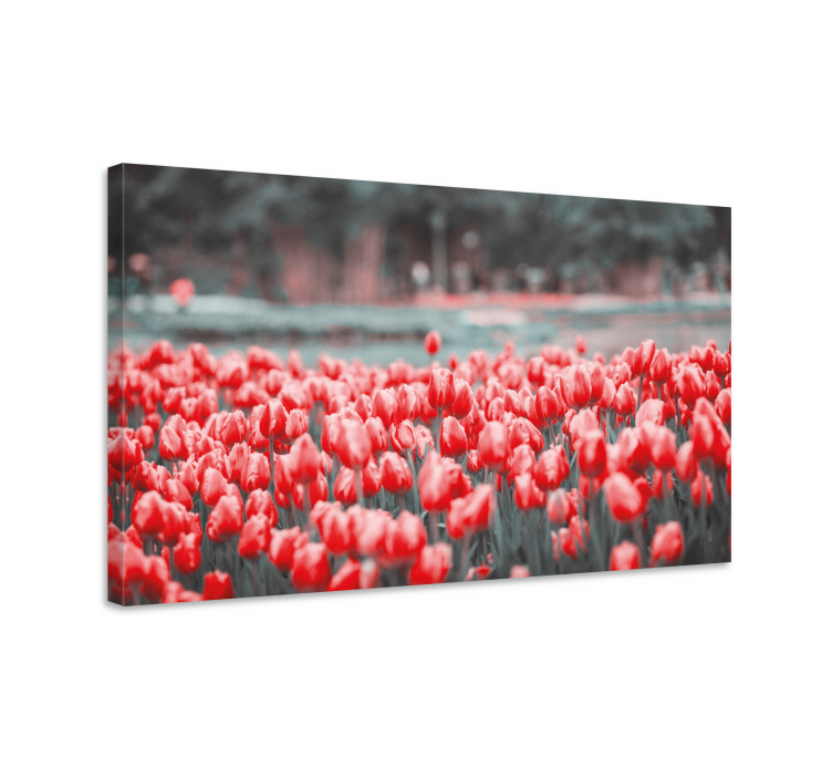 Quadro de flores Campo de tulipa rosa diferente - TenStickers