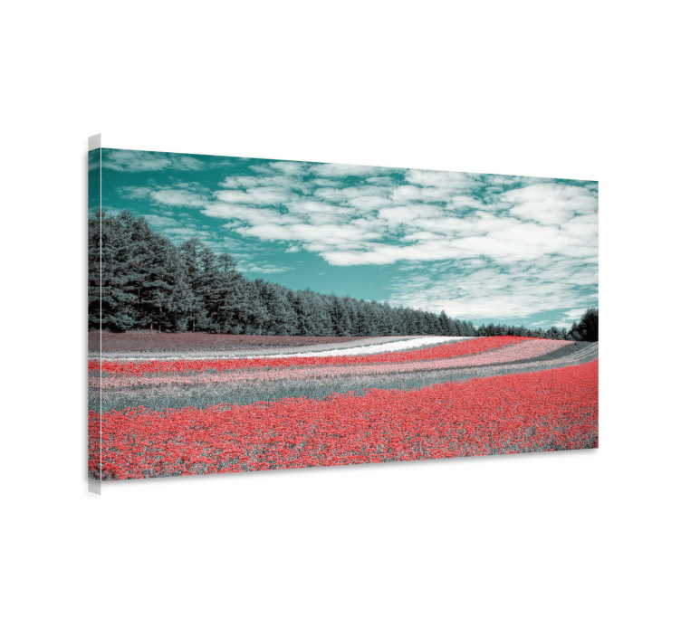 Quadro de flores Tipo diferente de campo de flores - TenStickers