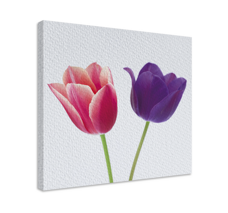 Quadro de flores Tulipas roxas e rosa - TenStickers