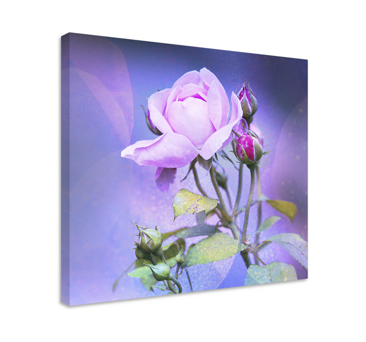 Quadro de flores rosa florindo pink - TenStickers