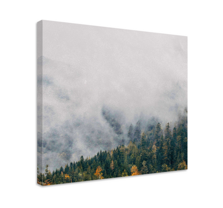 Quadro de paisage Floresta com névoa vinda de cima - TenStickers