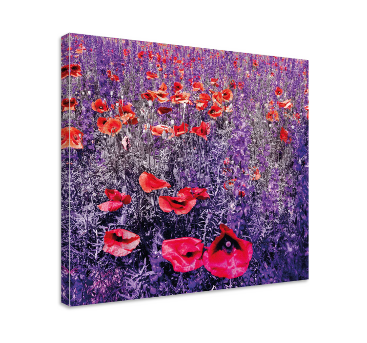 Quadro de flores campo de papoulas luminosas - TenStickers
