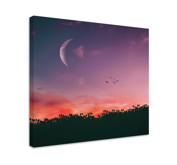 Quadro de paisage céu crepuscular iluminado pela lua - TenStickers