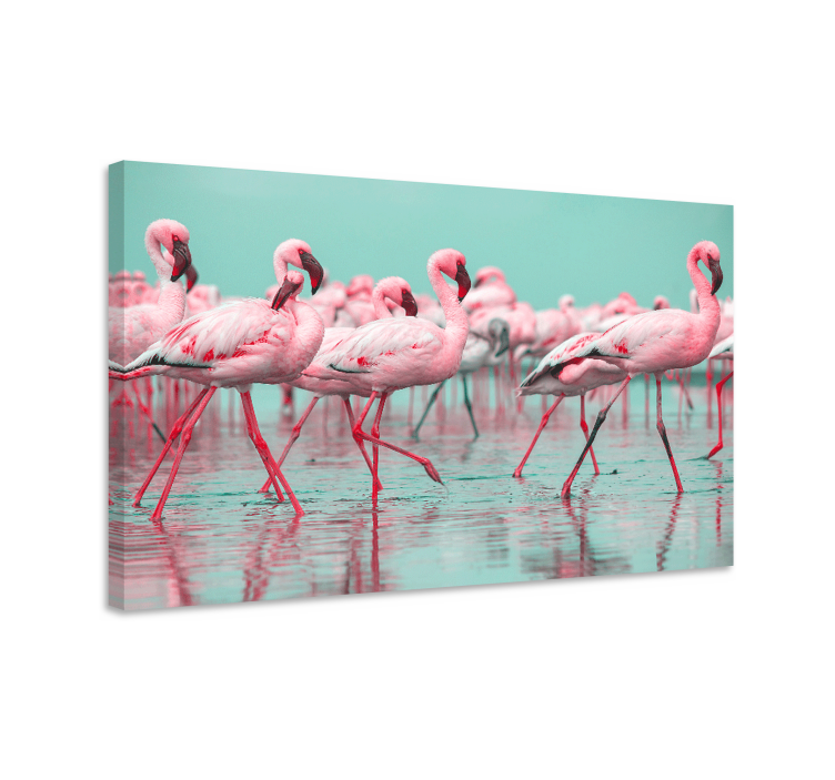 Quadro animais reunião de flamingos - TenStickers