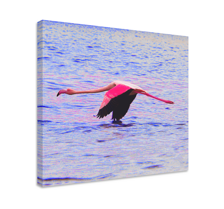 Quadro de peixes flamingo em voo - TenStickers