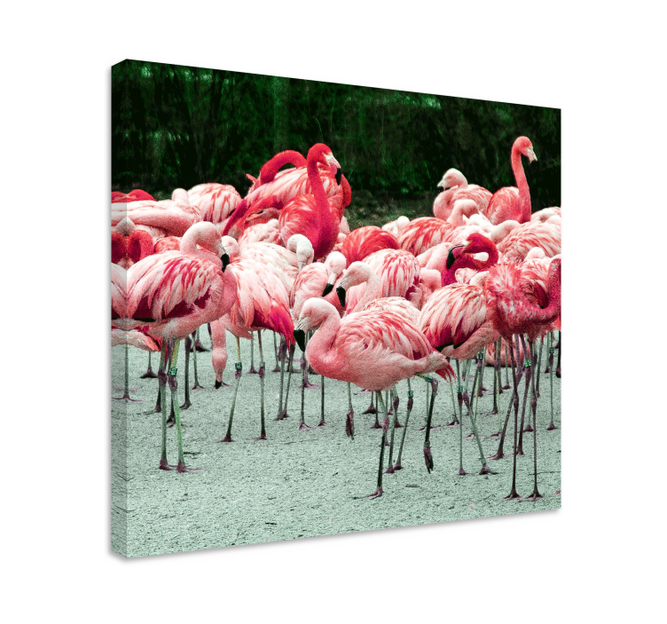 Quadro decorativo para sala Bons flamingos na água - TenStickers