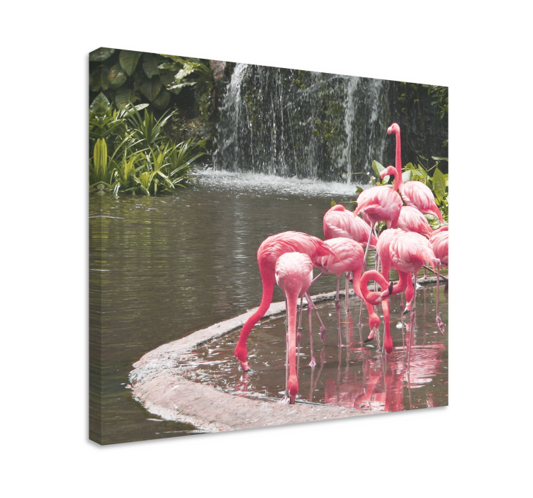 Quadro de cães flamingos na piscina - TenStickers