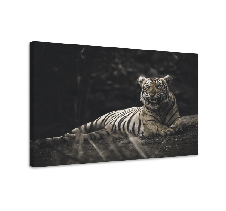 Quadro animais tigre majestoso repousando - TenStickers