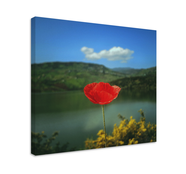 Quadro de flores papoula vermelha - TenStickers