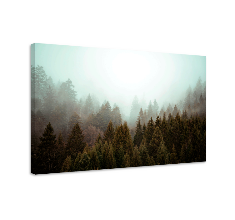 Quadro de paisagem vista de bosque nebuloso - TenStickers