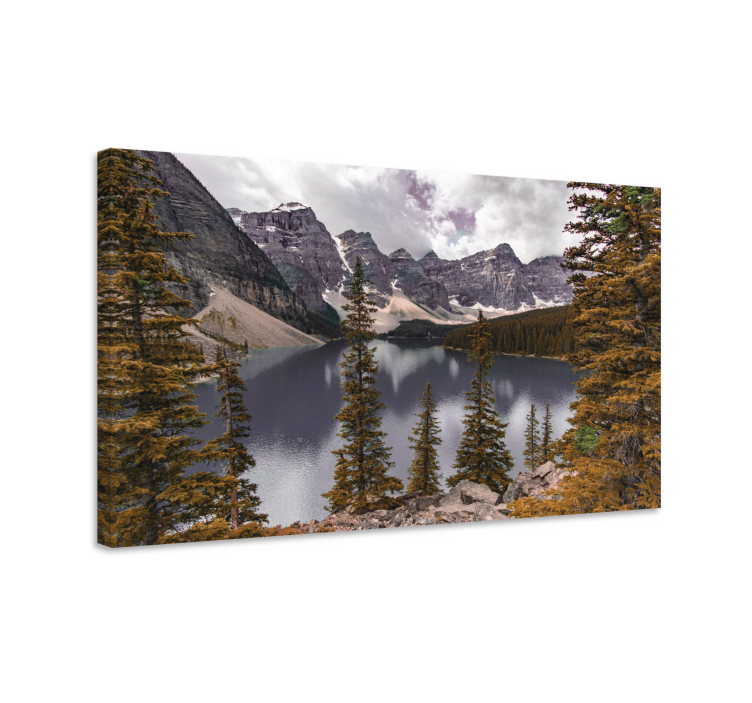 Quadro de paisage Fotografia estética da floresta canadense - TenStickers