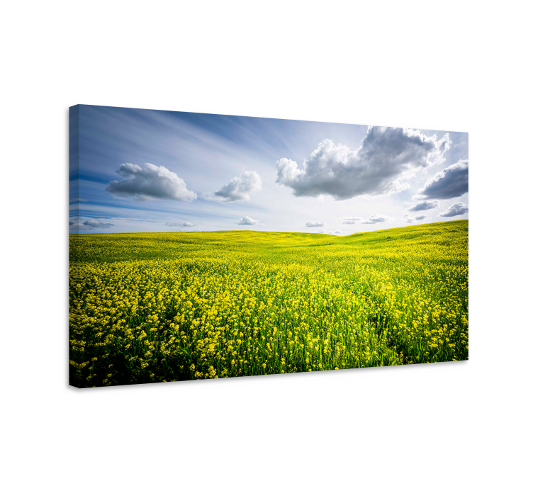 Quadro de paisagem campo amarelo vibrante - TenStickers