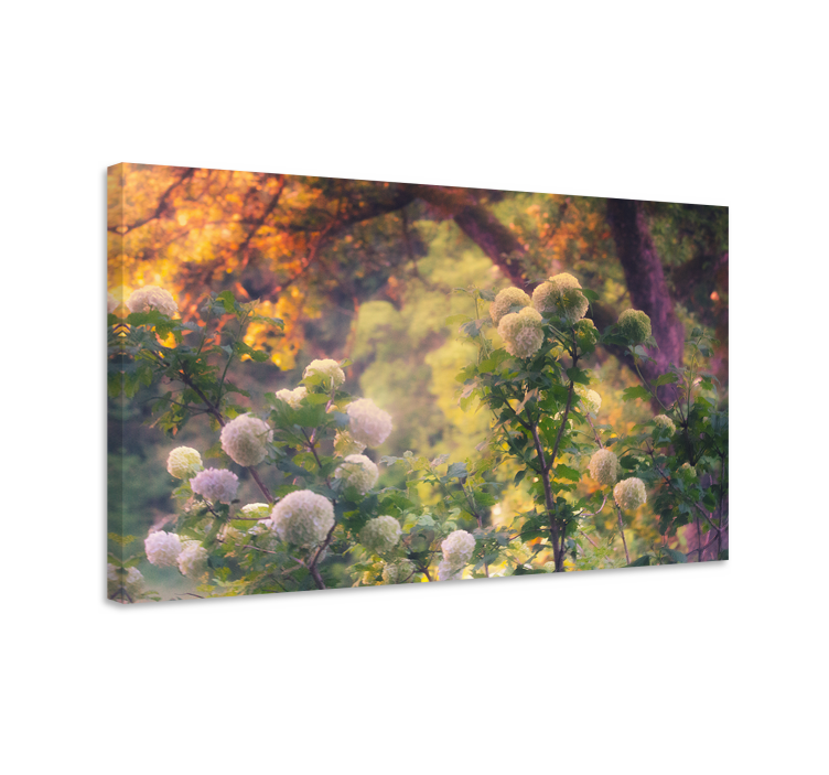 Quadro de flores flores do campo florido - TenStickers