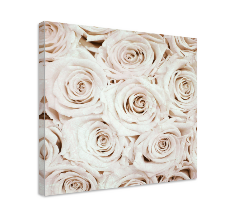 Quadro de flores Elegante produtode flor rosa branca - TenStickers