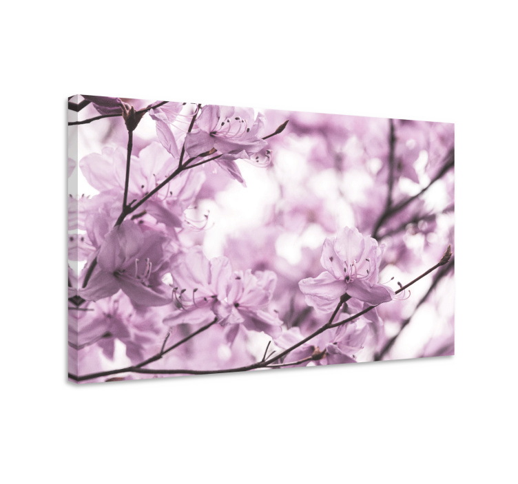 Quadro de flores Elegante produtofeminino de flores de azaléia - TenStickers
