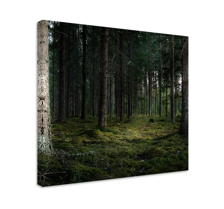 Quadro de árvores árvores da "natureza" na floresta - TenStickers