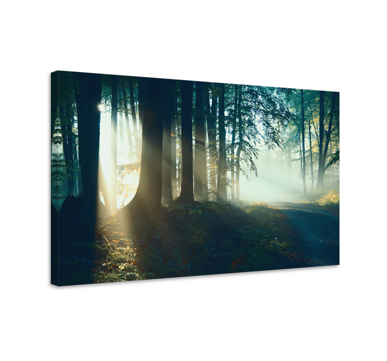 Quadro de paisagem trilha nebulosa na floresta - TenStickers