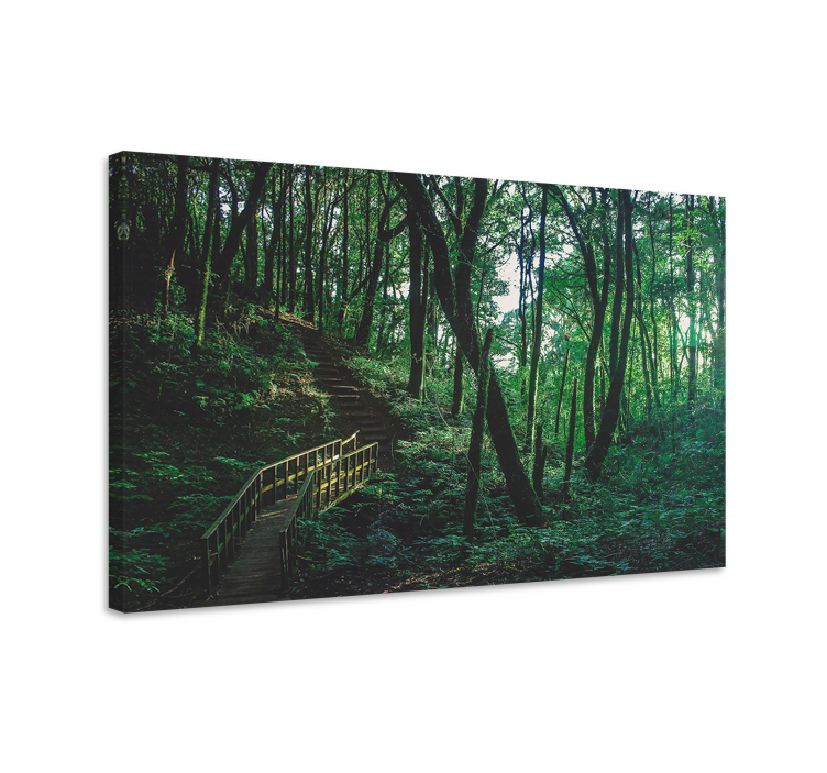 Quadro de paisagem trilha na floresta - TenStickers