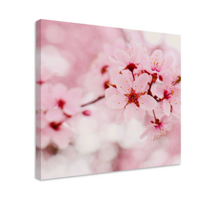 Quadro de flores Arte fotográfica em flor rosa - TenStickers