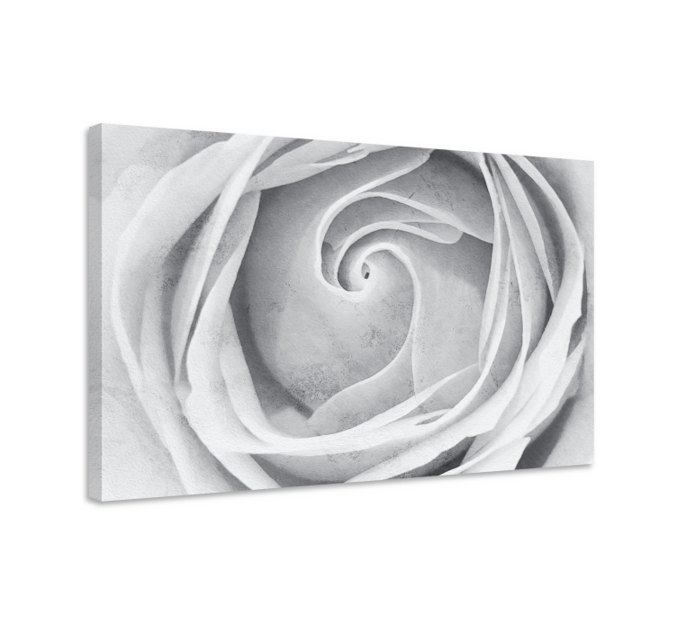 Quadro de flores espiral elegante de rosas - TenStickers